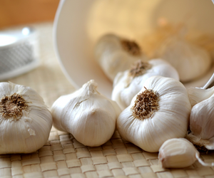 Knoflook planten